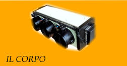 IL CORPO